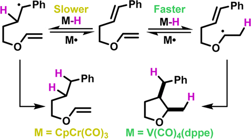 Cyclization reaction of oxygen stabilized radicals 