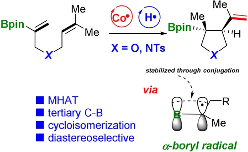 Boryl radicals generated by HAT