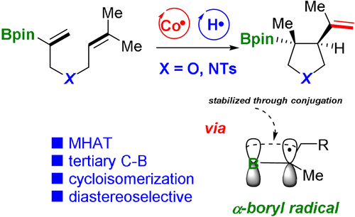 Boryl radicals generated by HAT