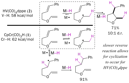Comparison Between HV(CO)4(dppe) and CpCr(CO)3H